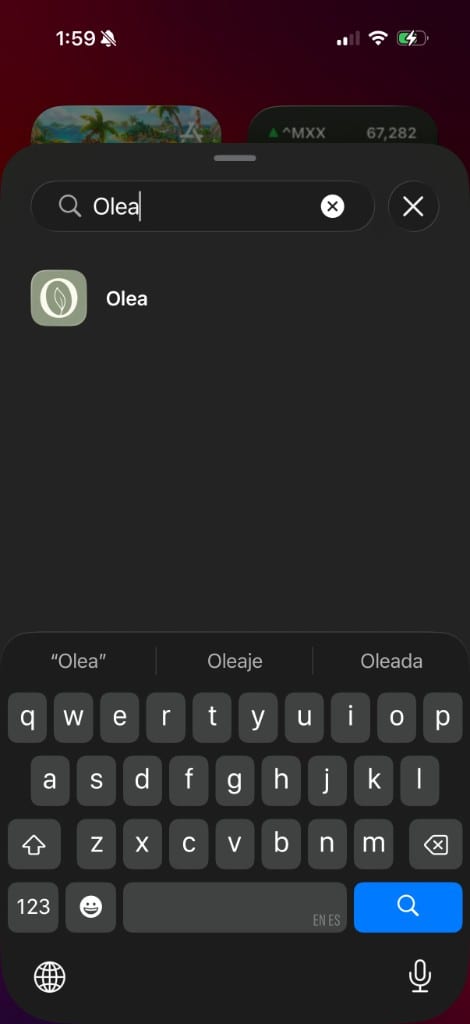 Buscar Olea